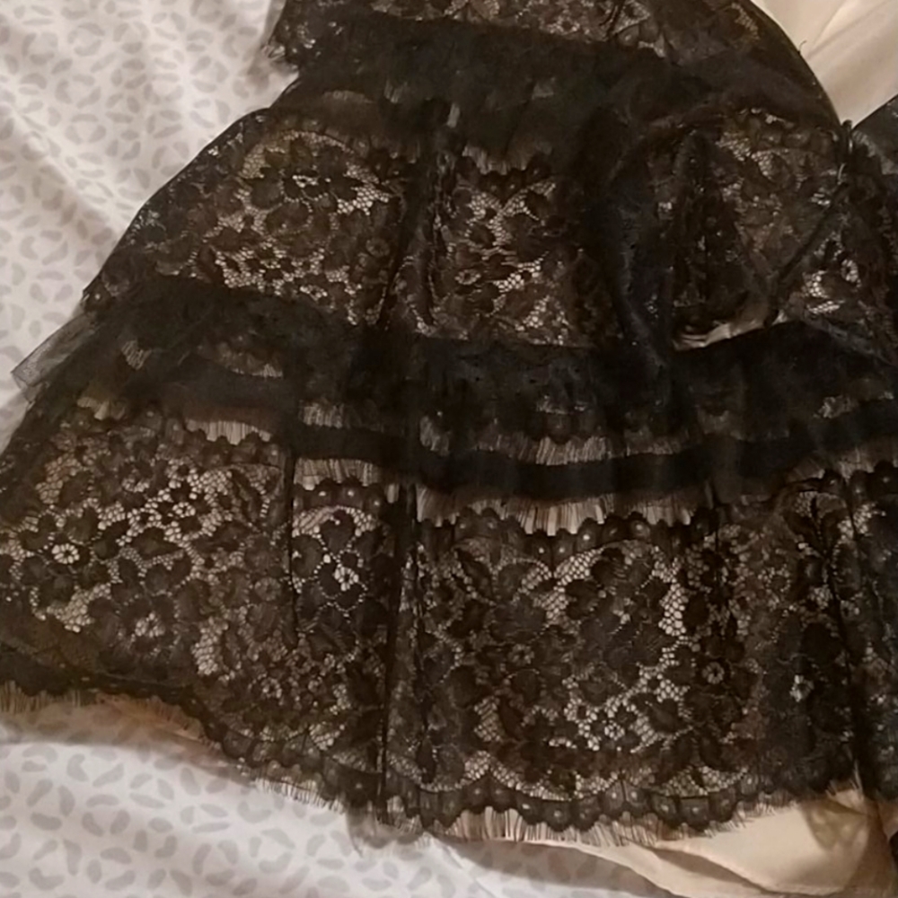 Ruffeled Lace Gothic Dress - Picture 5 of 8